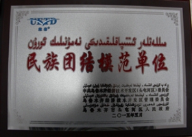 民族團結模范單位