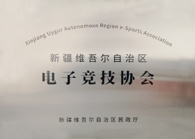 新疆維吾爾自治區(qū)電子競技協會