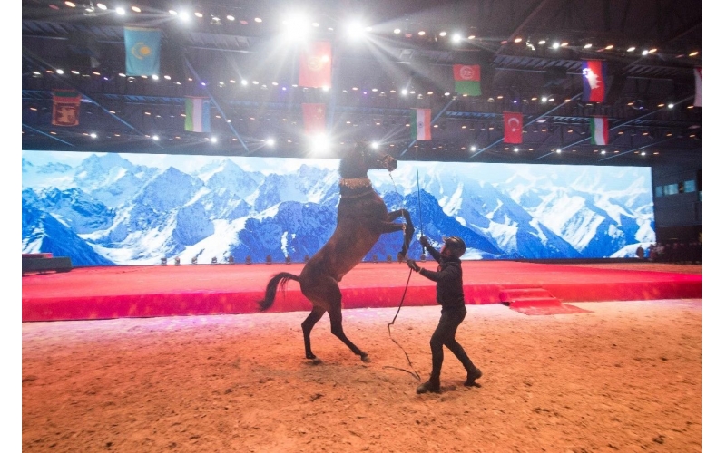 住馬酒店、吃馬肉腸、喝馬奶粉、品馬奶酒--