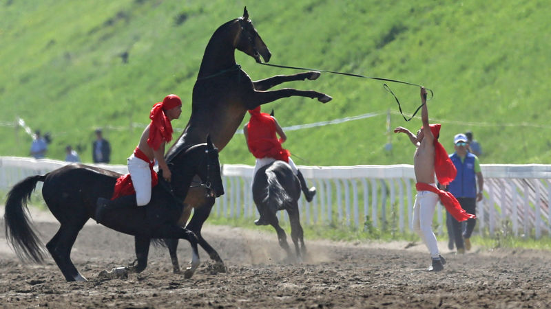 圖片關(guān)鍵詞